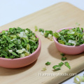 एयर-ड्राई किए गए shallots chive छल्ले निर्जलित chive रोल